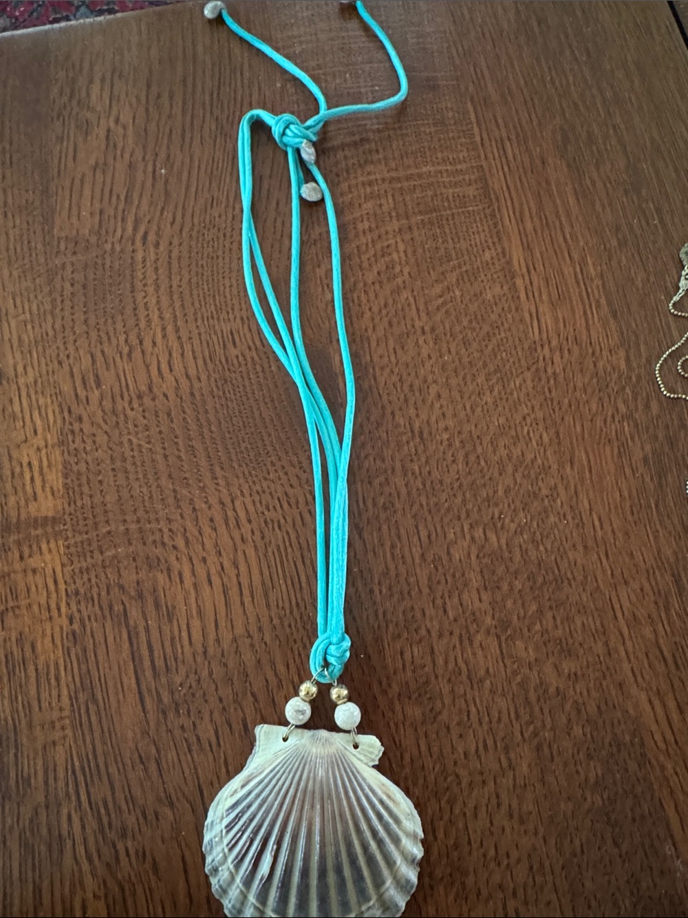 Seashell Pendant Necklace on Turquoise Cord